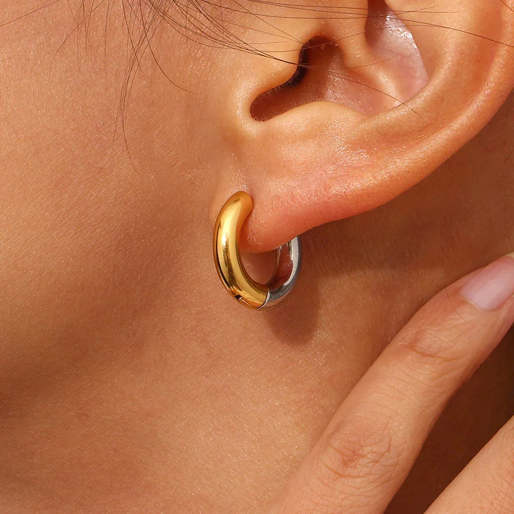 [Gaonasi]Ingrid Two Tone Hoop Earring