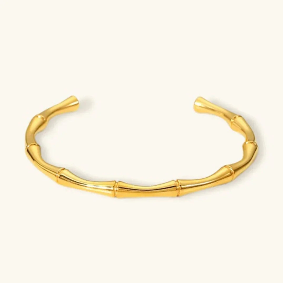 [Gaonasi]Brielle Gold Bangle