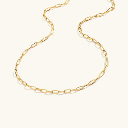 [Gaonasi]Amber Gold Chain Necklace