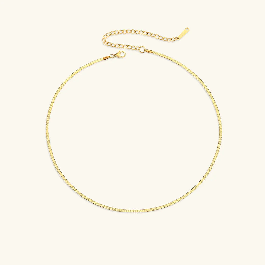 [Gaonasi]Elizabeth Gold Herringbone Necklace