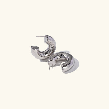 [Gaonasi]Bethany Silver Earrings