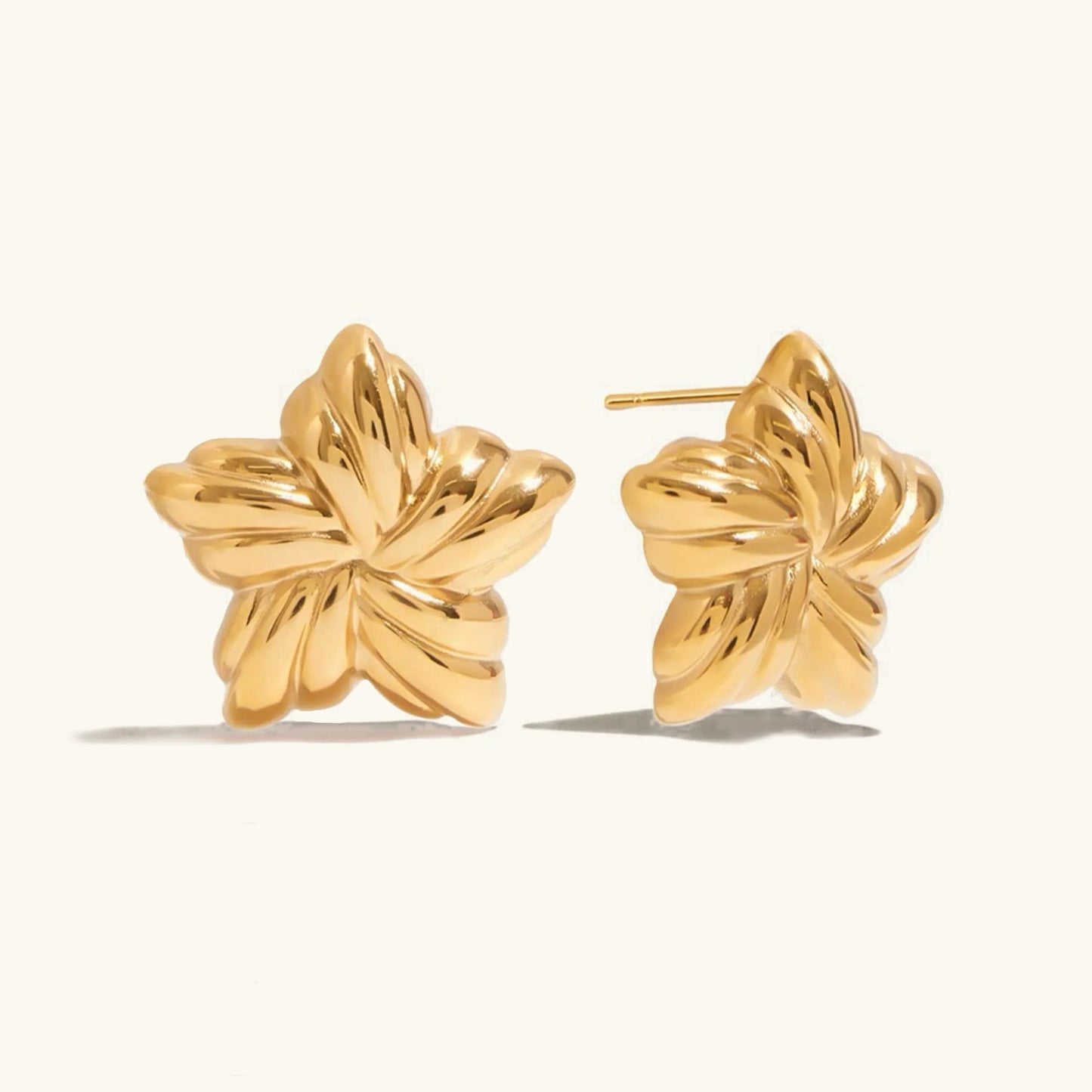 [Gaonasi]Thymes Gold Star Earrings