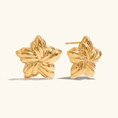 [Gaonasi]Thymes Gold Star Earrings