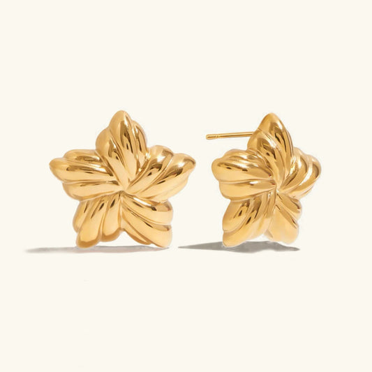 [Gaonasi]Thymes Gold Star Earrings
