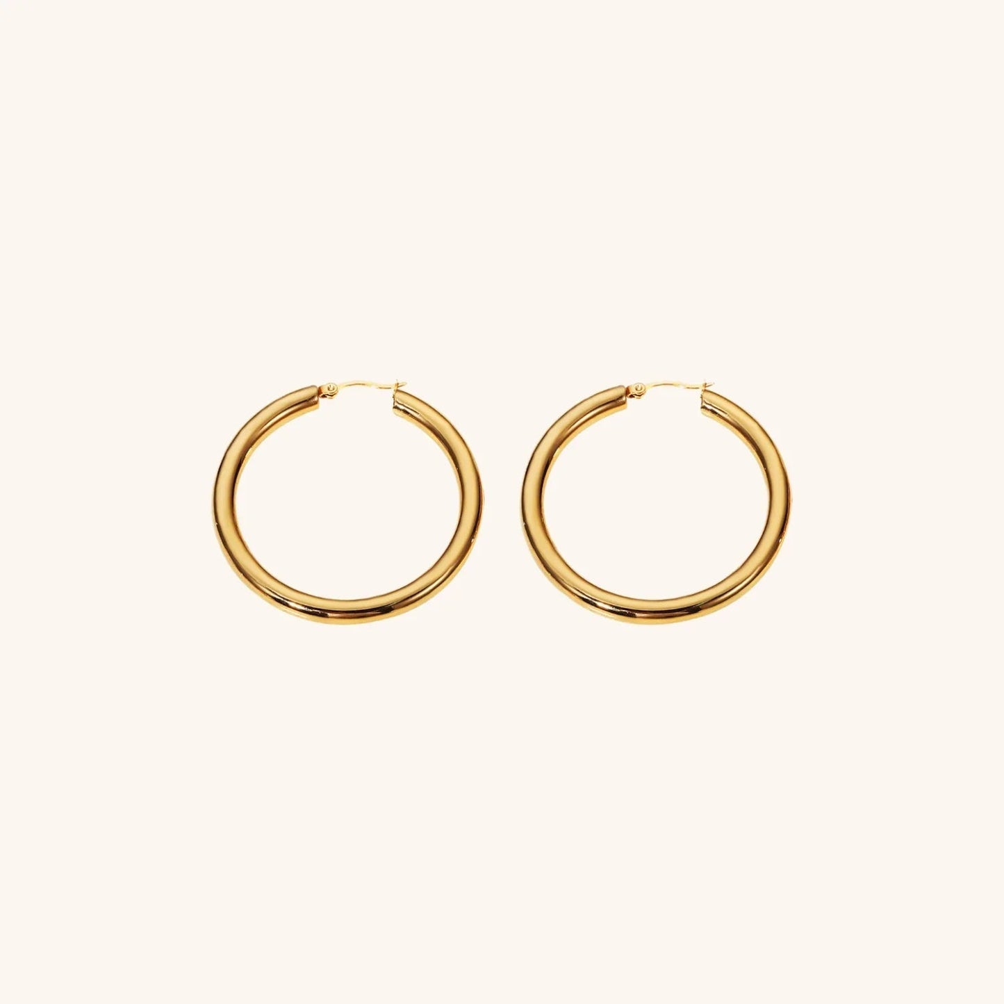 [Gaonasi]Wide Hoop Earrings