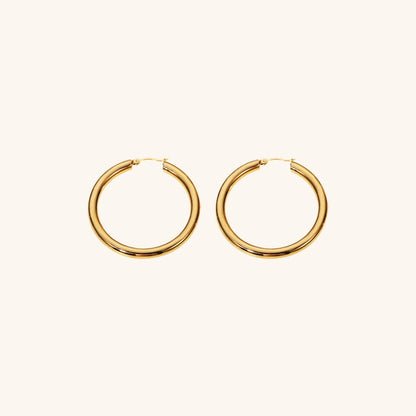 [Gaonasi]Wide Hoop Earrings