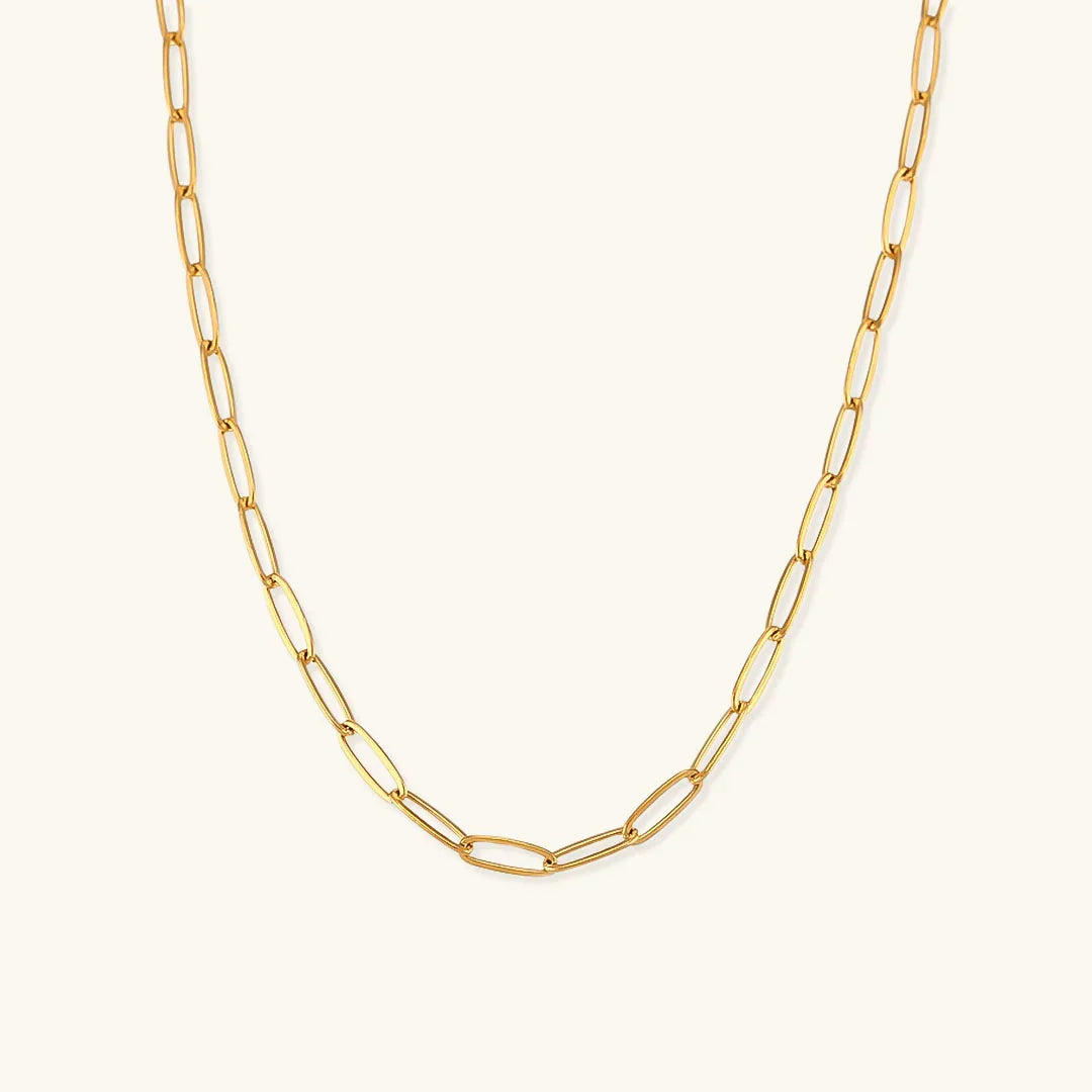 [Gaonasi]Lena Golden Chain Necklace