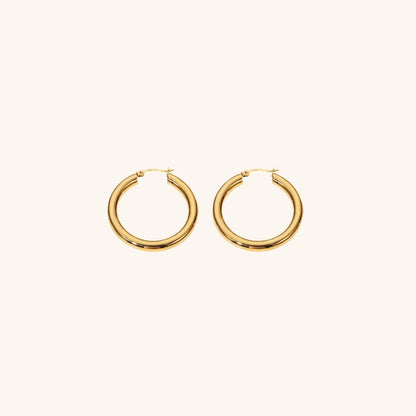 [Gaonasi]Wide Hoop Earrings