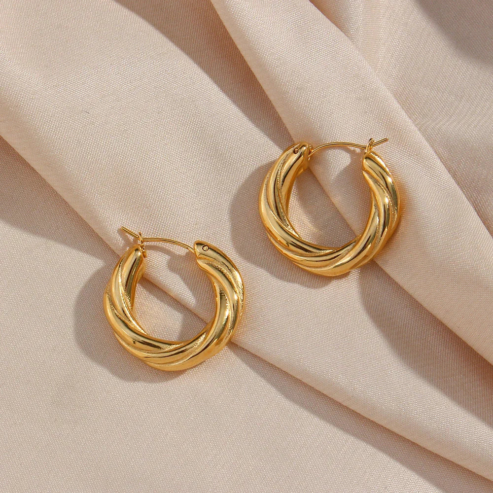 [Gaonasi]Denisse Twisted Hoop Earrings
