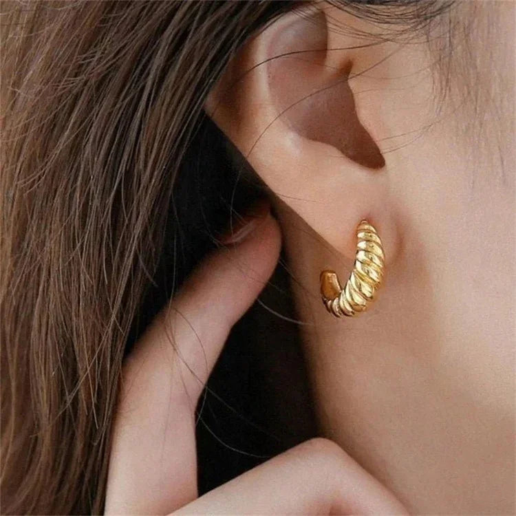 [Gaonasi]Croissant Arc Earrings