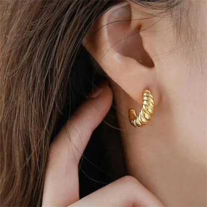 [Gaonasi]Croissant Arc Earrings