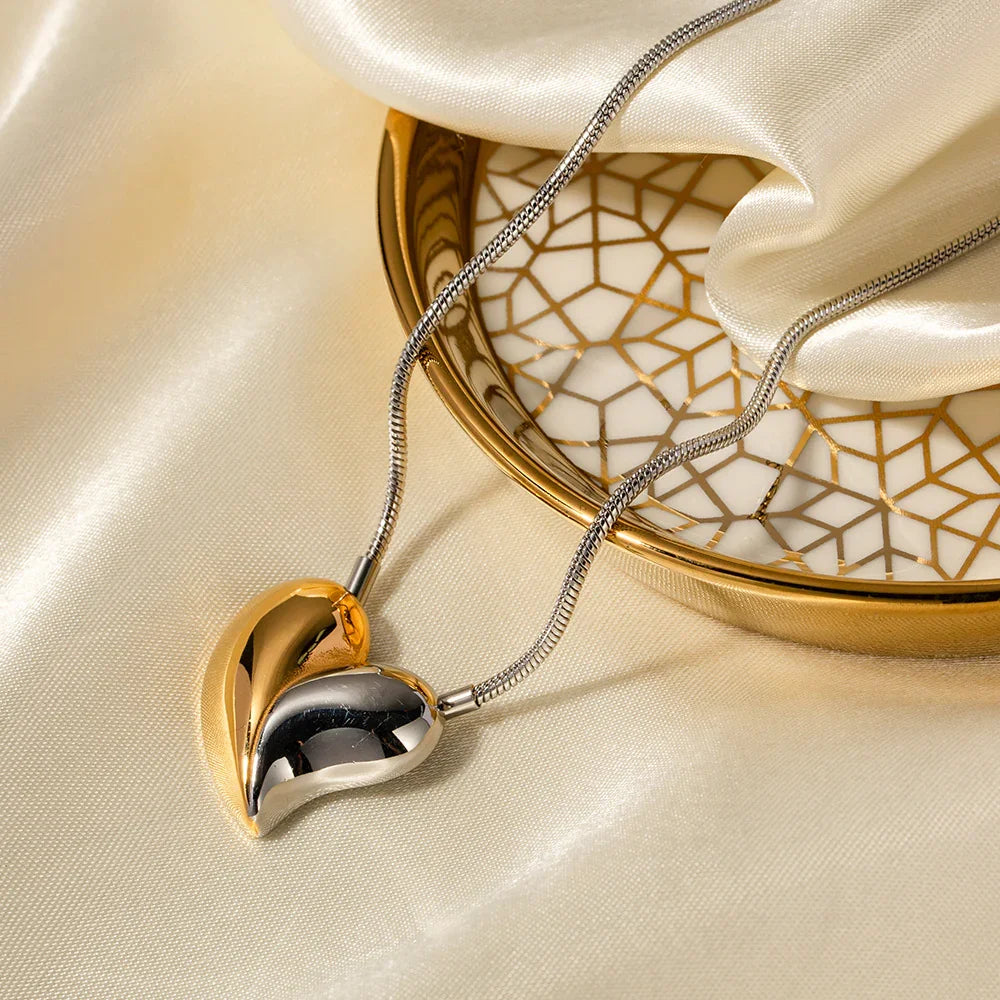 [Gaonasi]Dorothea Two Tone Heart Necklace