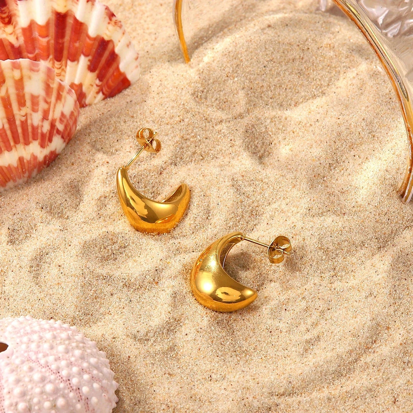 [Gaonasi]Zola Gold Earrings