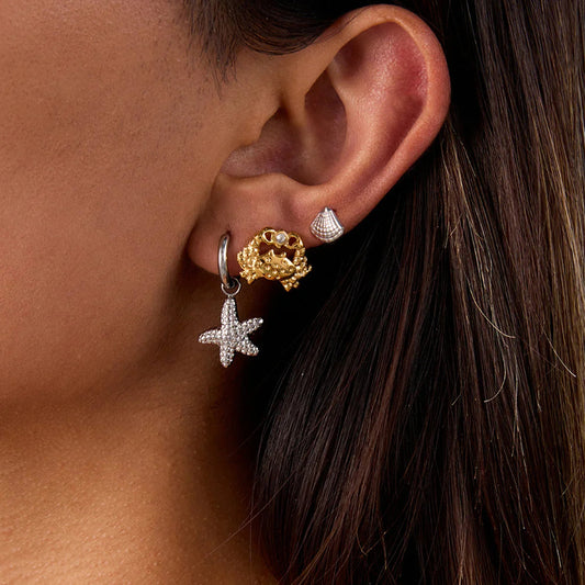[Gaonasi]Cheyenne Seaside Essential Earrings Bundle