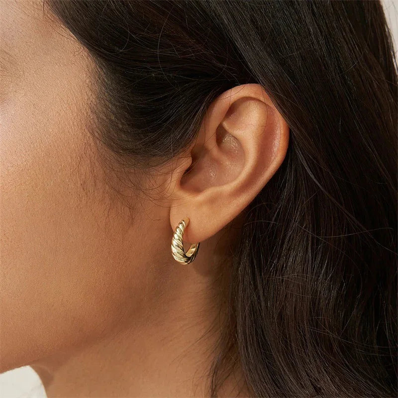 [Gaonasi]Croissant Arc Earrings