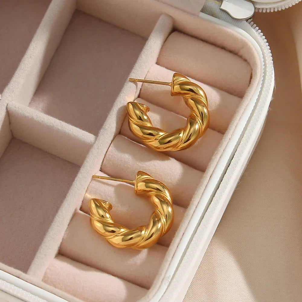 [Gaonasi]Naomi Twist Earrings
