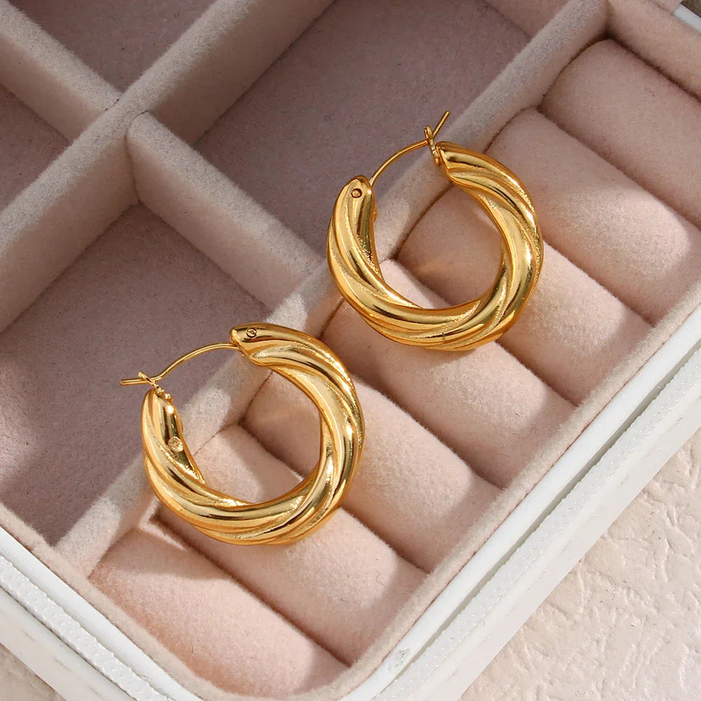 [Gaonasi]Denisse Twisted Hoop Earrings