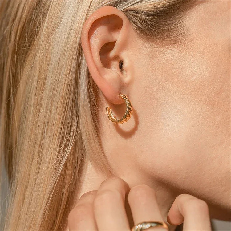 [Gaonasi]Croissant Arc Earrings