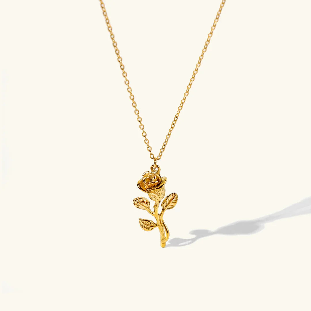 [Gaonasi]Celia Gold Necklace