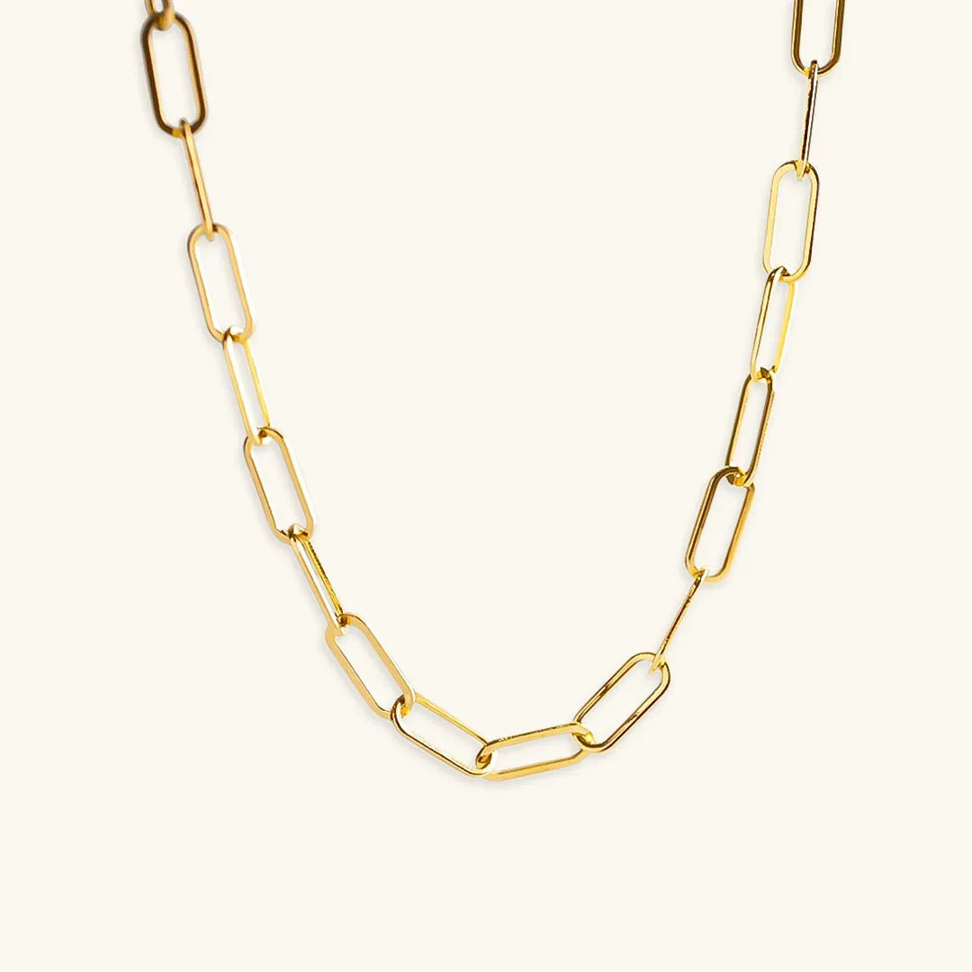 [Gaonasi]Ria Gold Paperclip Chain Necklace
