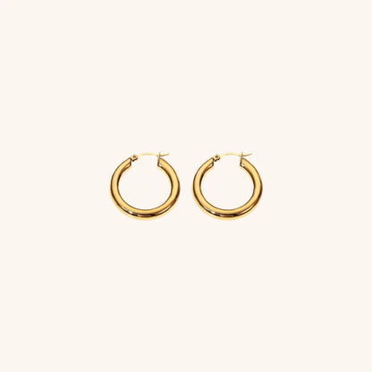 [Gaonasi]Wide Hoop Earrings