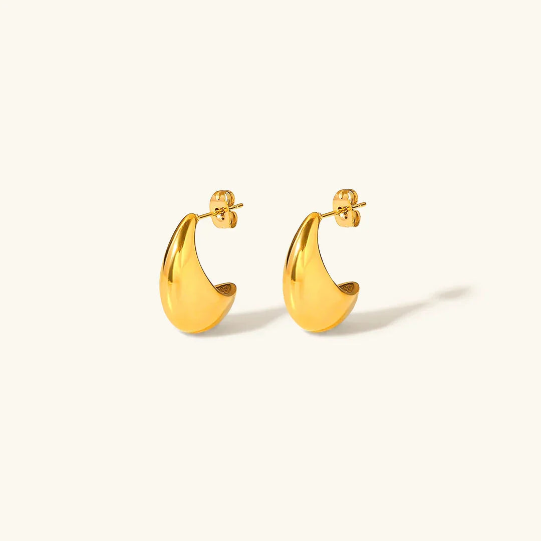 [Gaonasi]Zola Gold Earrings